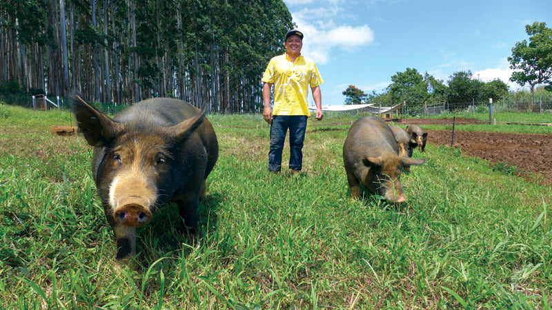 brandon lee kaunamano farm